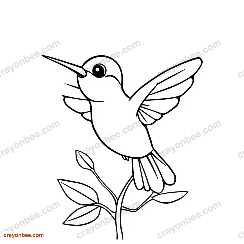 Hummingbird Coloring Page — Free Printable PDF