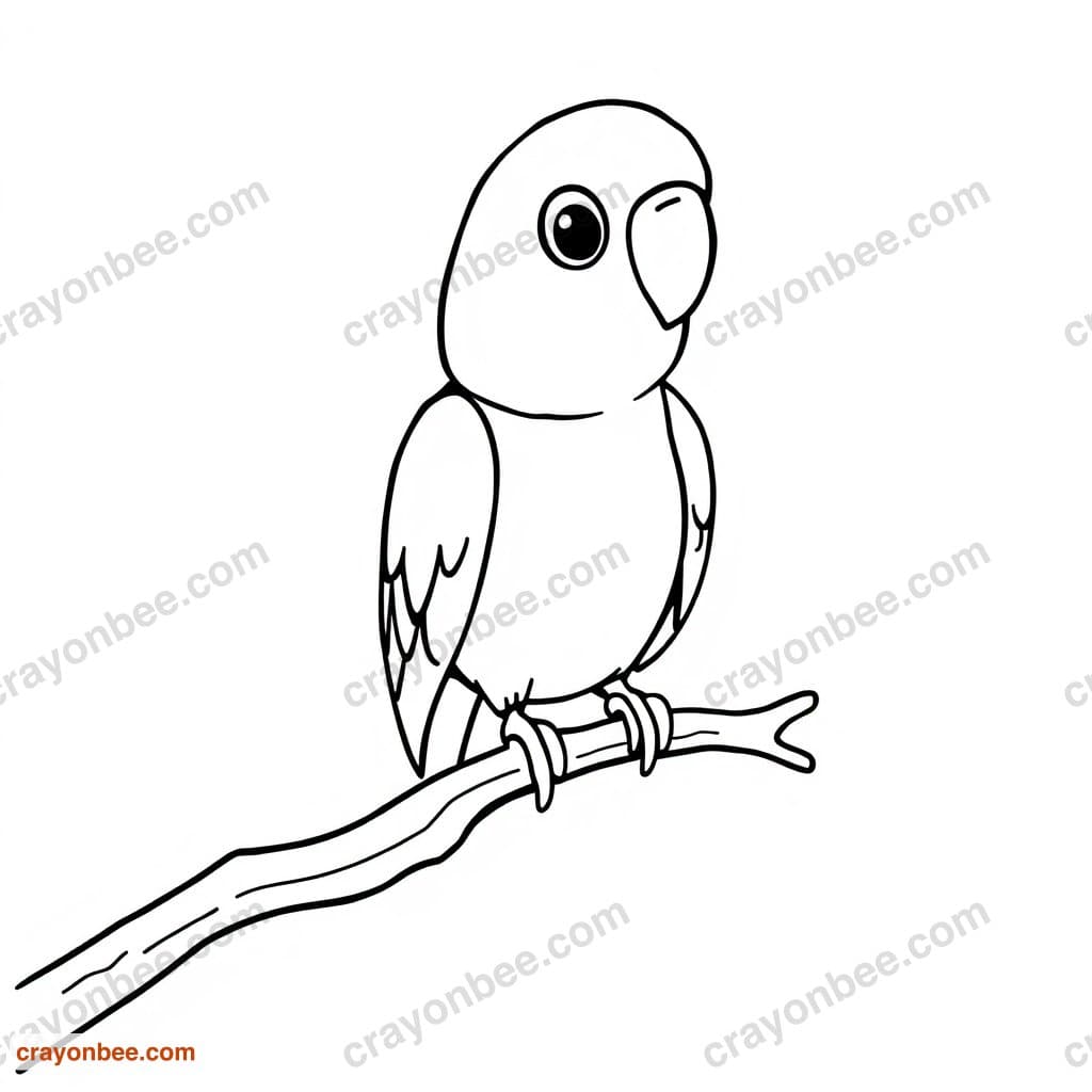 Parakeet On Perch Coloring Page — Free Printable PDF